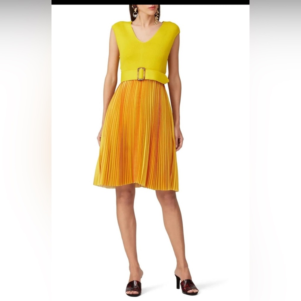 Sachin & Babi . Yellow and Orange Pleated Dress